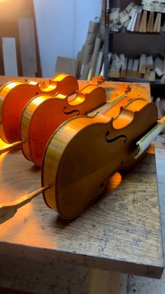 Violin - Violas