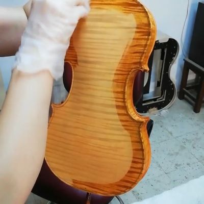 Oil Varnish